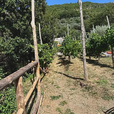 Farma Ara Solis Arola (Campania)