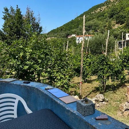 Ara Solis Arola (Campania)