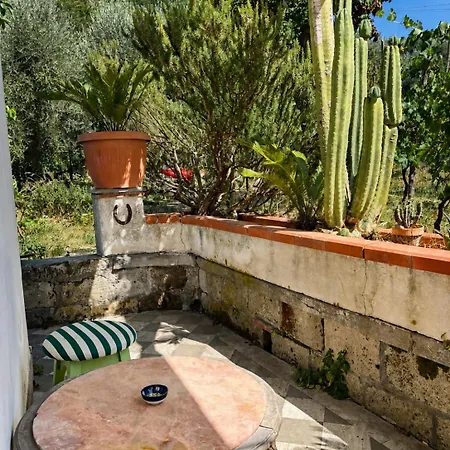 Casa rural Ara Solis Positano Hills