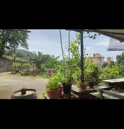 Ara Solis Positano Hills *