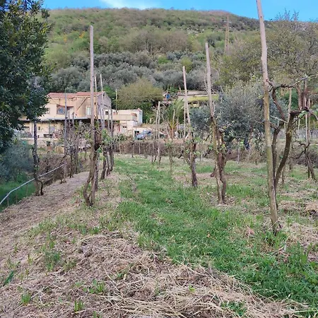 Ara Solis Positano Hills Chácara